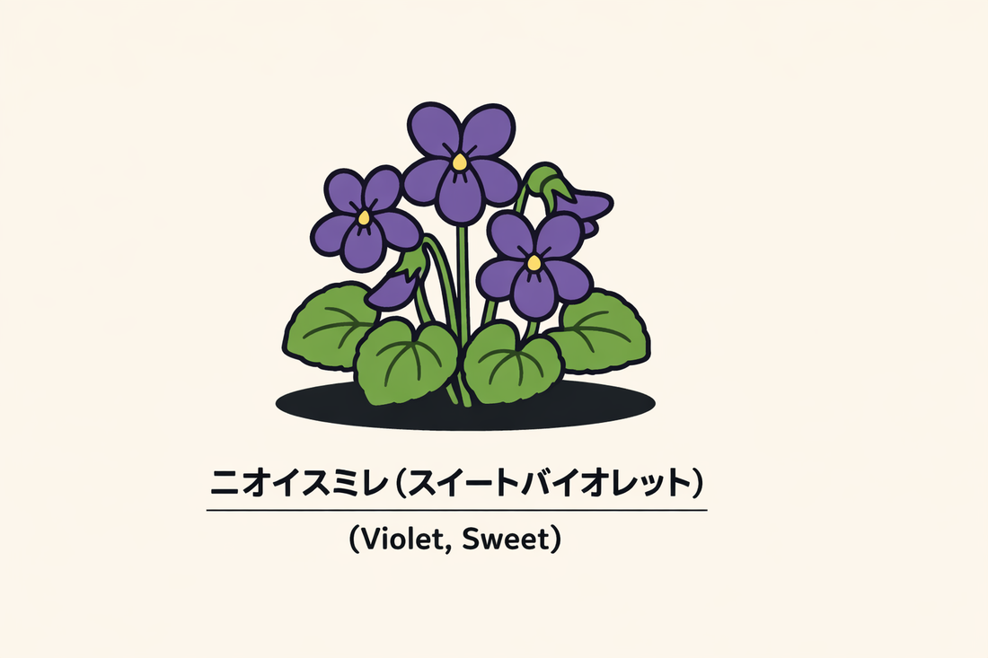 【ニオイスミレ】の花言葉は「つつましさ」｜1884年の記録から読む