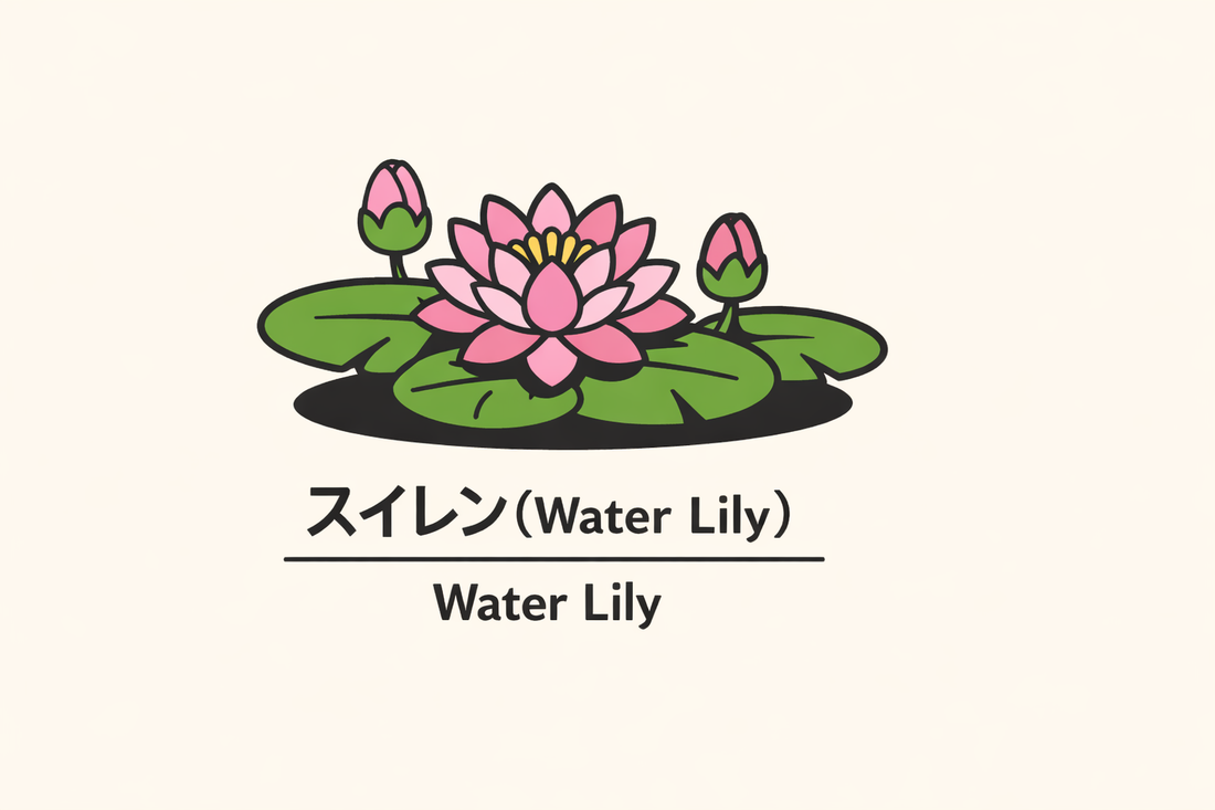 【スイレン】の花言葉は「純心」｜心の清らかさを示す象徴の意味