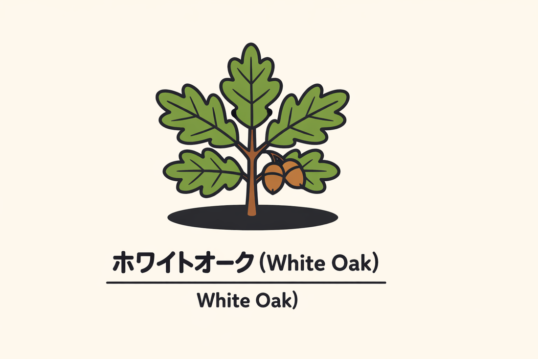 【ホワイトオーク】の花言葉は「自立」｜文献に残る意味と適用範囲