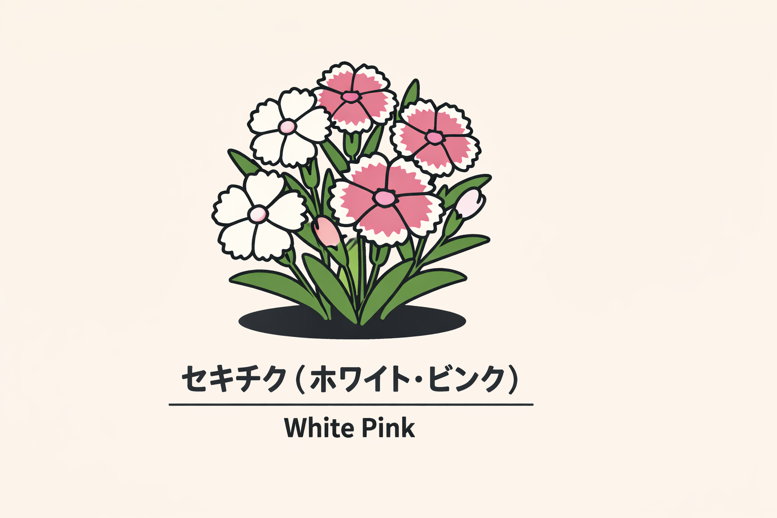 【セキチク（ホワイト・ピンク）】の花言葉は「才気」｜意味の由来 - リーフラ編集部