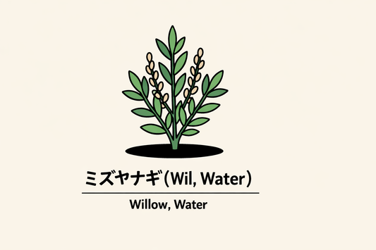 【ミズヤナギ】の花言葉は「自由」｜原典の見出し語に基づく象徴