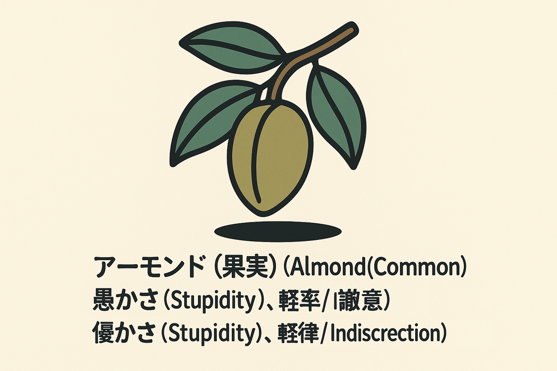 【アーモンド（果実）】の花言葉は「愚かさ・軽率」｜記録が示す意味