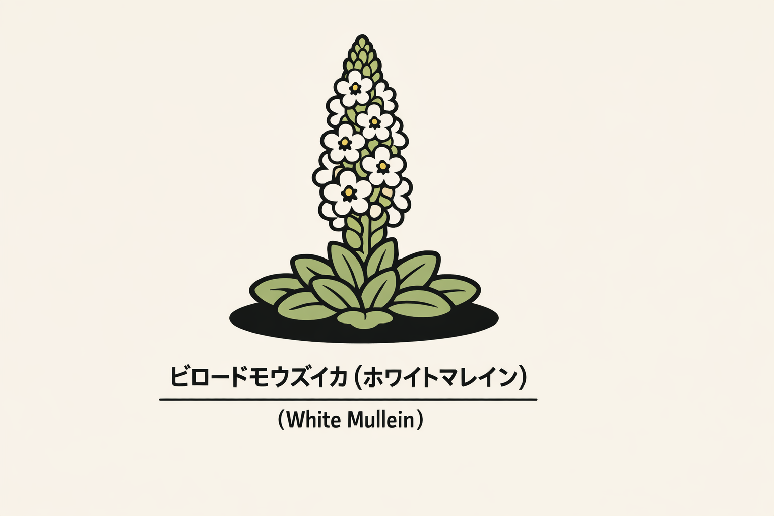 ビロードモウズイカ、花言葉は善良さ、文献に残る意味</p> <p> - リーフラ編集部