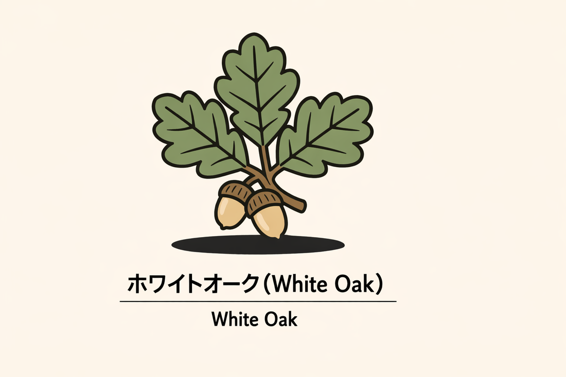【ホワイトオーク】の花言葉は「自立」｜一次資料に残る意味と解説
