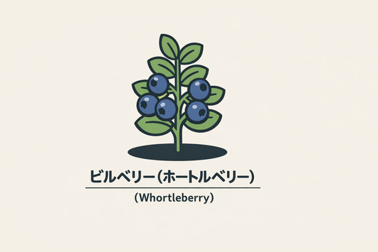 【ビルベリー】の花言葉は「裏切り」｜古典資料に記された意味と範囲