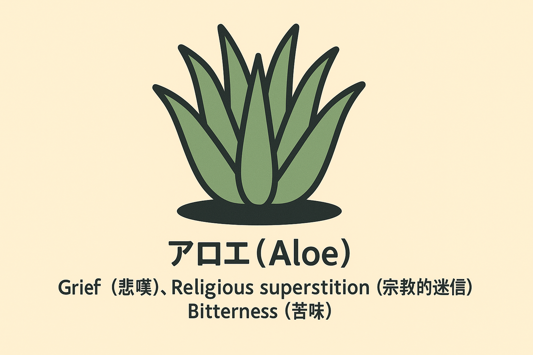 【アロエ】の花言葉は「悲嘆・迷信」｜1884年の記録から紐解く