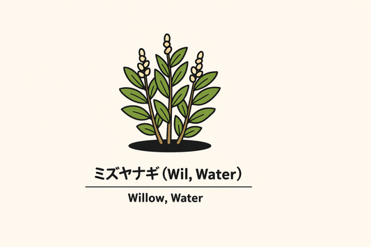 【ミズヤナギ】の花言葉は「自由」｜見出し語に基づく意味の解説