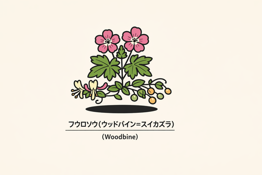 【ウッドバイン】の花言葉は「兄弟愛」｜1884年の文献に残る象徴