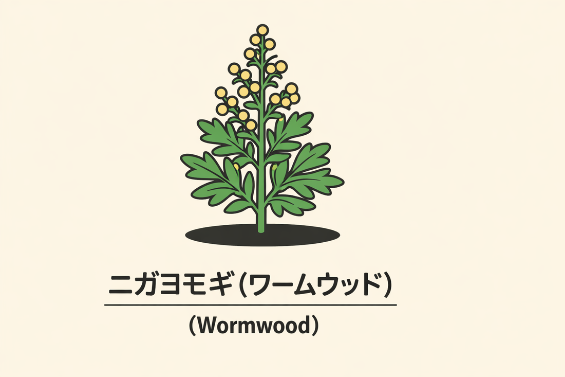 【ニガヨモギ】の花言葉は「不在」｜ワームウッドの象徴と意味