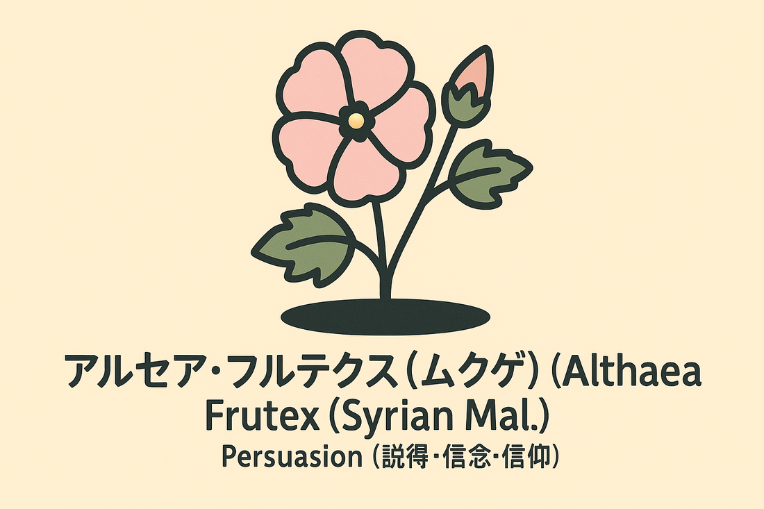 【ムクゲ】の花言葉は「説得」｜Greenawayが記した象徴の意味