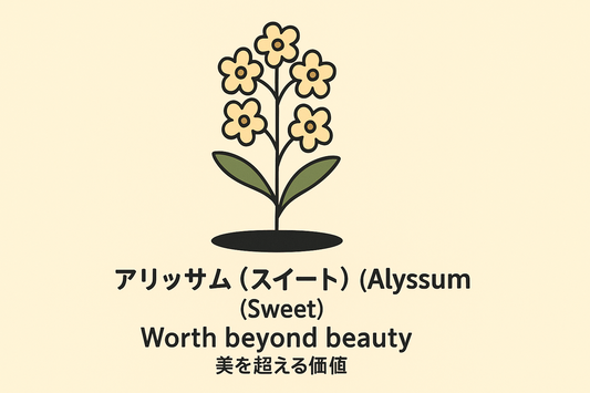 【アリッサム】の花言葉は「美を超える価値」｜その意味と由来