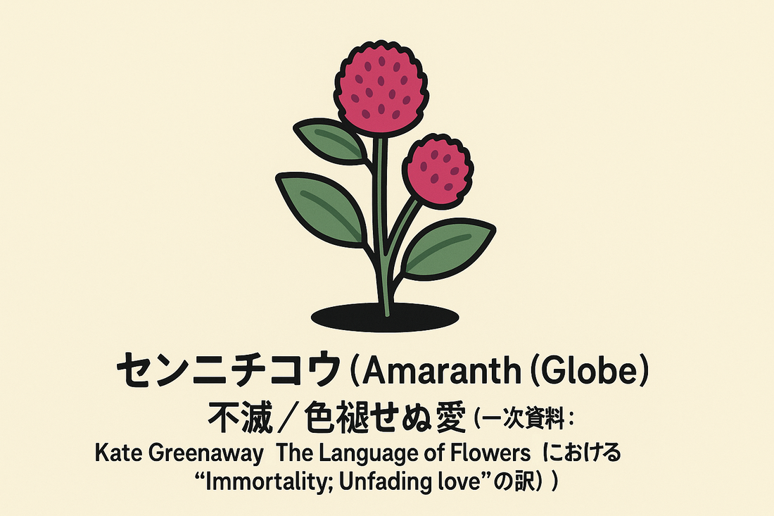 【センニチコウ】の花言葉は「不滅・色褪せぬ愛」｜意味と由来を解説