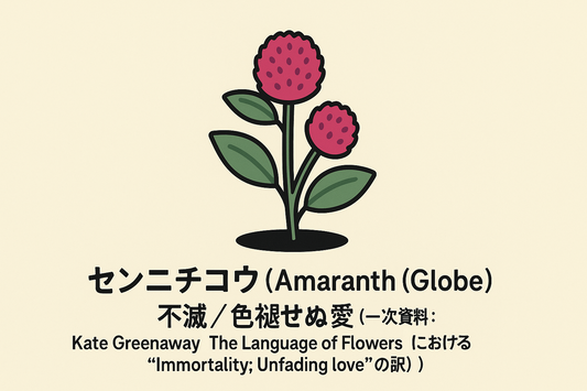 【センニチコウ】の花言葉は「不滅・色褪せぬ愛」｜意味と由来を解説