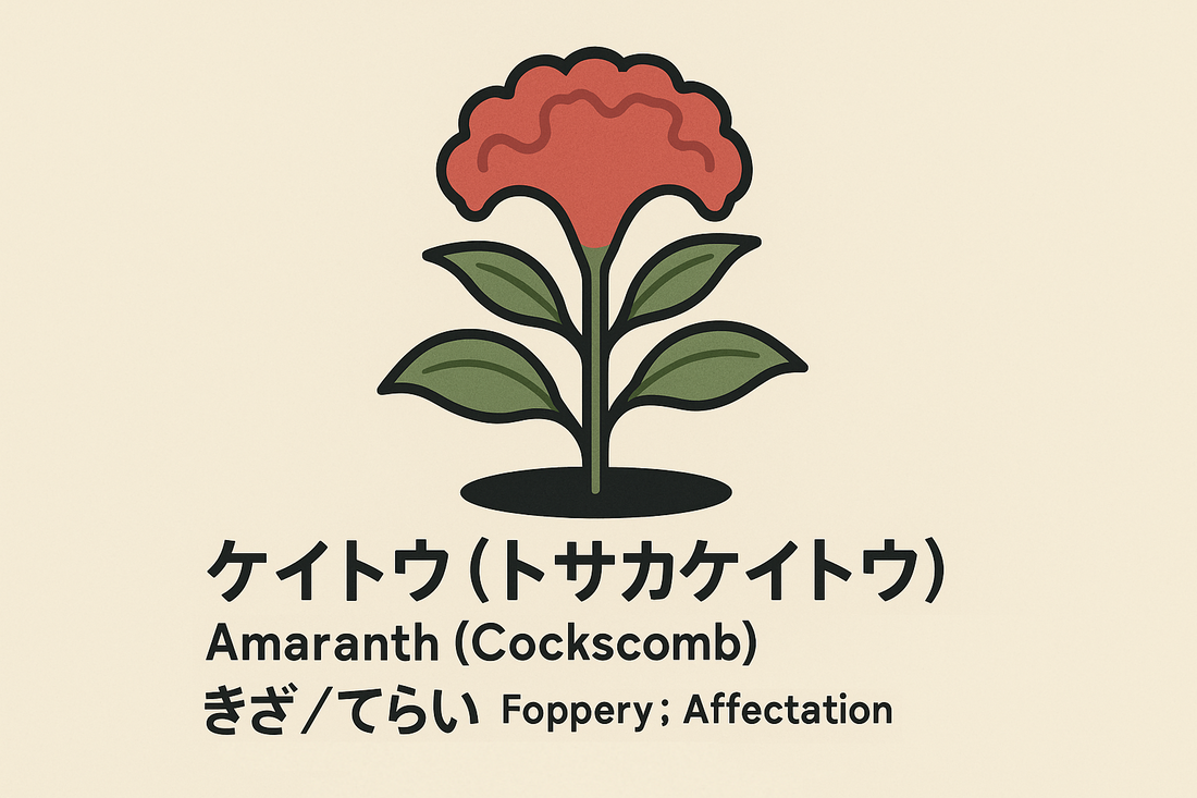 【ケイトウ】の花言葉は「きざ・衒い」｜1884年の記録から学ぶ意味