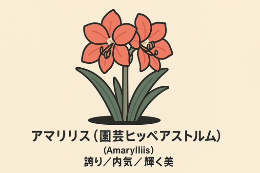 【アマリリス】の花言葉は「誇り・内気・輝く美」｜文献の記録