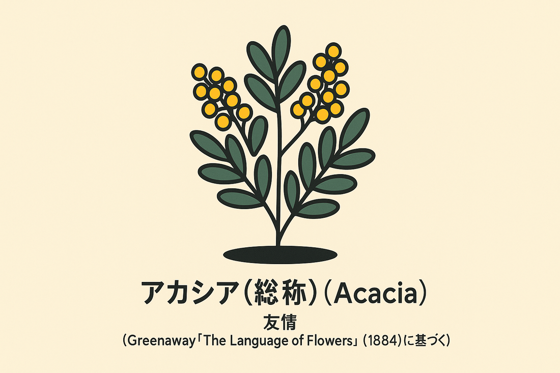 【アカシア】の花言葉は「友情」｜一次資料から知る適用範囲