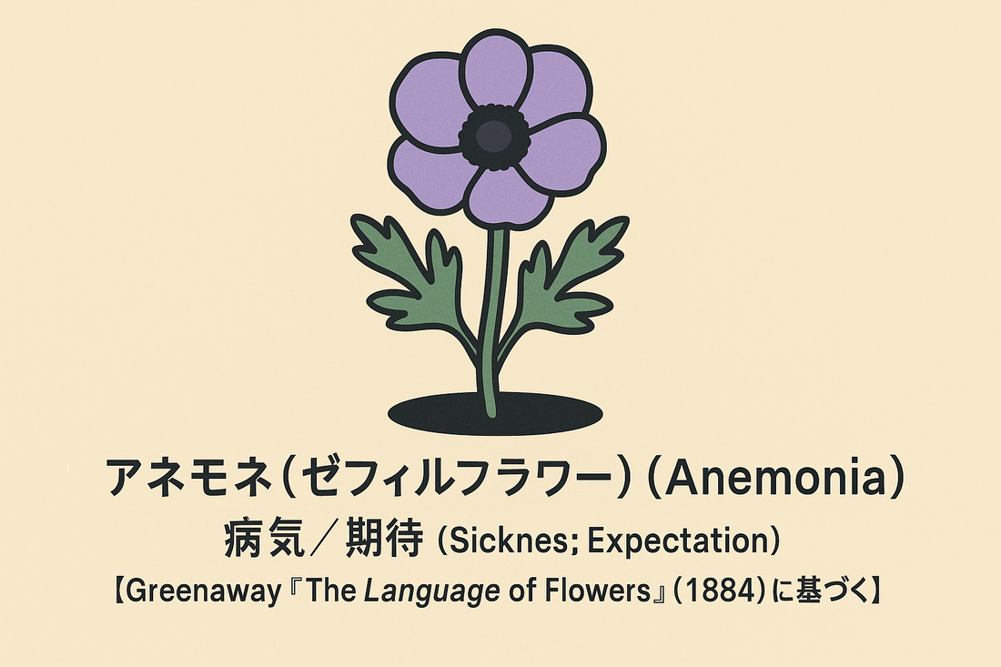 【アネモネ（ゼフィルフラワー）】の花言葉は「病気・期待」｜意味の背景