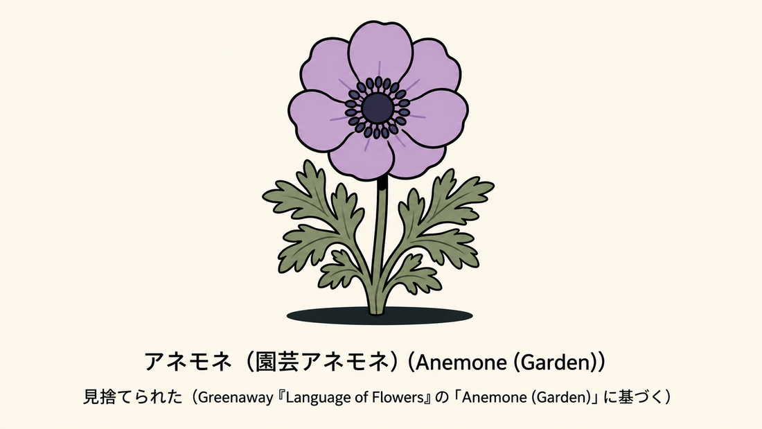 【アネモネ】の花言葉は「見捨てられた」｜文献記録から読む意味