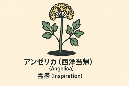 【アンゼリカ】の花言葉は「霊感」｜Greenawayの記録と象徴