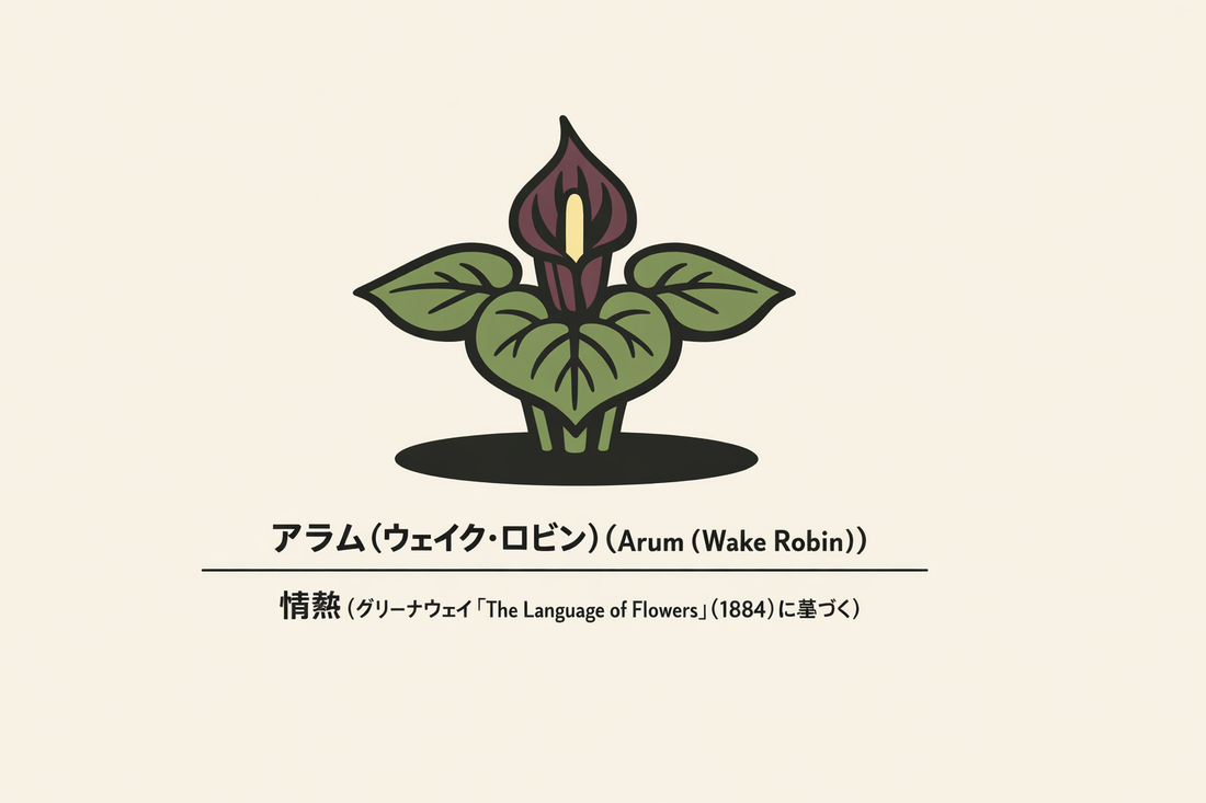 【アラム】の花言葉は「情熱」｜1884年の資料に残る象徴