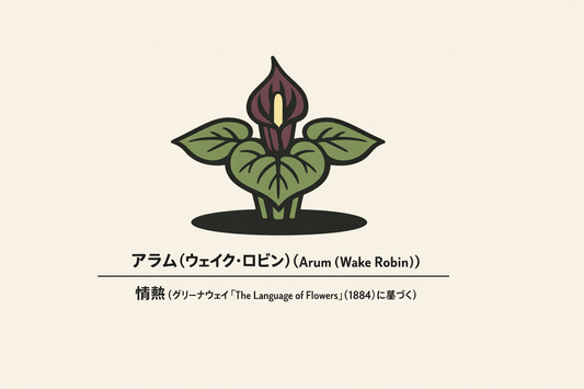 【アラム】の花言葉は「情熱」｜1884年の資料に残る象徴
