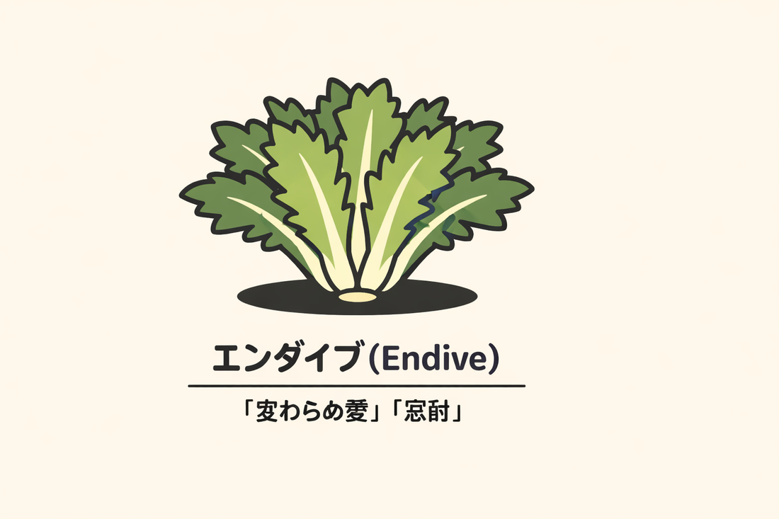 【エンダイブ】の花言葉は「倹約」｜1884年文献の記録と背景