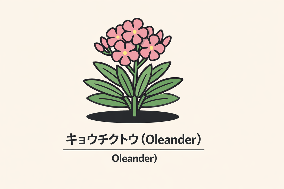 【キョウチクトウ】の花言葉は「用心」｜Greenawayの記録と意味