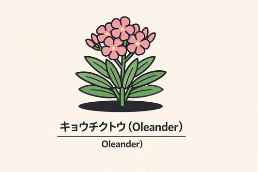 【キョウチクトウ】の花言葉は「用心」｜Greenawayの記録と意味