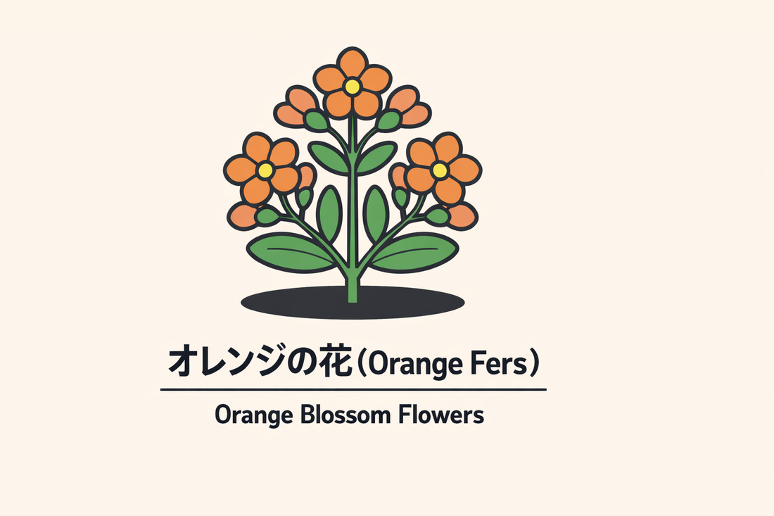【オレンジの花】の花言葉は「純潔・婚礼」｜文献に残る象徴