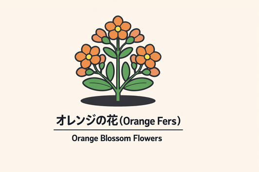 【オレンジの花】の花言葉は「純潔・婚礼」｜文献に残る象徴