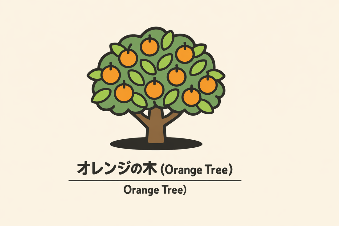 【オレンジの木】の花言葉は「寛大」｜Greenawayの記録と意味