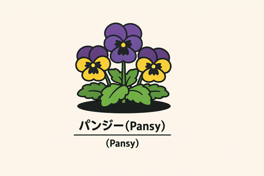 【パンジー】の花言葉は「想い・思索」｜1884年の一次資料に残る意味