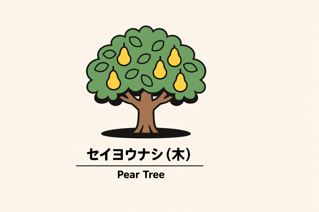 【セイヨウナシの木】の花言葉は「慰め」｜1884年の文献に残る象徴