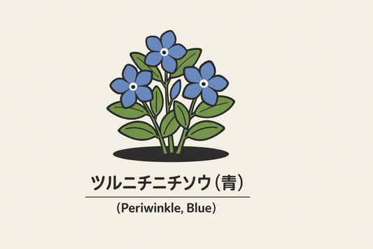 【ツルニチニチソウ（青）】の花言葉は「初期の友情・幼な友」｜意味と由来
