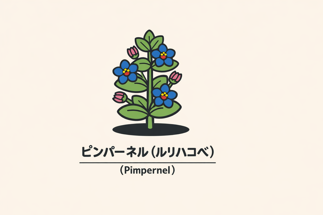 【ピンパーネル】の花言葉は「変化」｜Greenawayが残した記録