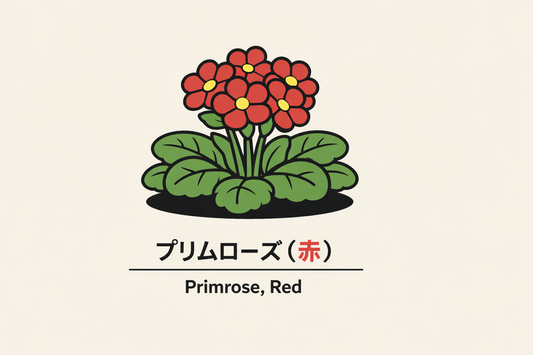 【赤いプリムローズ】の花言葉は「正当に評価されぬ才」｜文献から読む