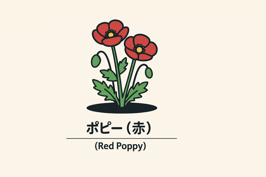 【赤いポピー】の花言葉は「慰撫・なぐさめ」｜赤色が持つ象徴の意味