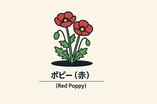 【赤いポピー】の花言葉は「慰撫・なぐさめ」｜赤色が持つ象徴の意味