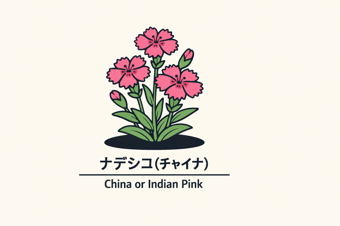 【ナデシコ（チャイナ）】の花言葉は「嫌悪」｜意味と適用範囲の解説