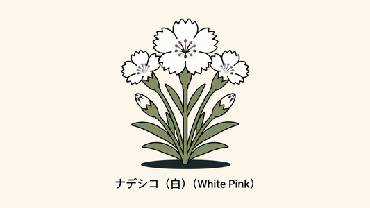 【ナデシコ（白）】の花言葉は「才気」｜意味と文献上の範囲