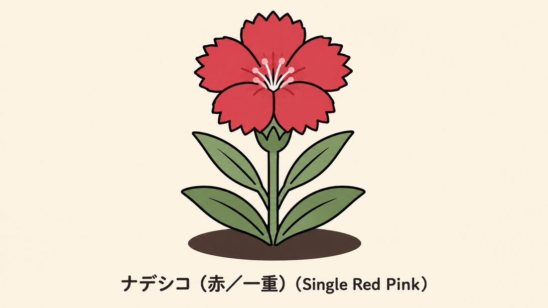 【赤い一重ナデシコ】の花言葉は「記録なし」｜一次資料にない理由と背景