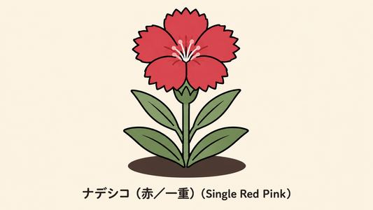【赤い一重ナデシコ】の花言葉は「記録なし」｜一次資料にない理由と背景