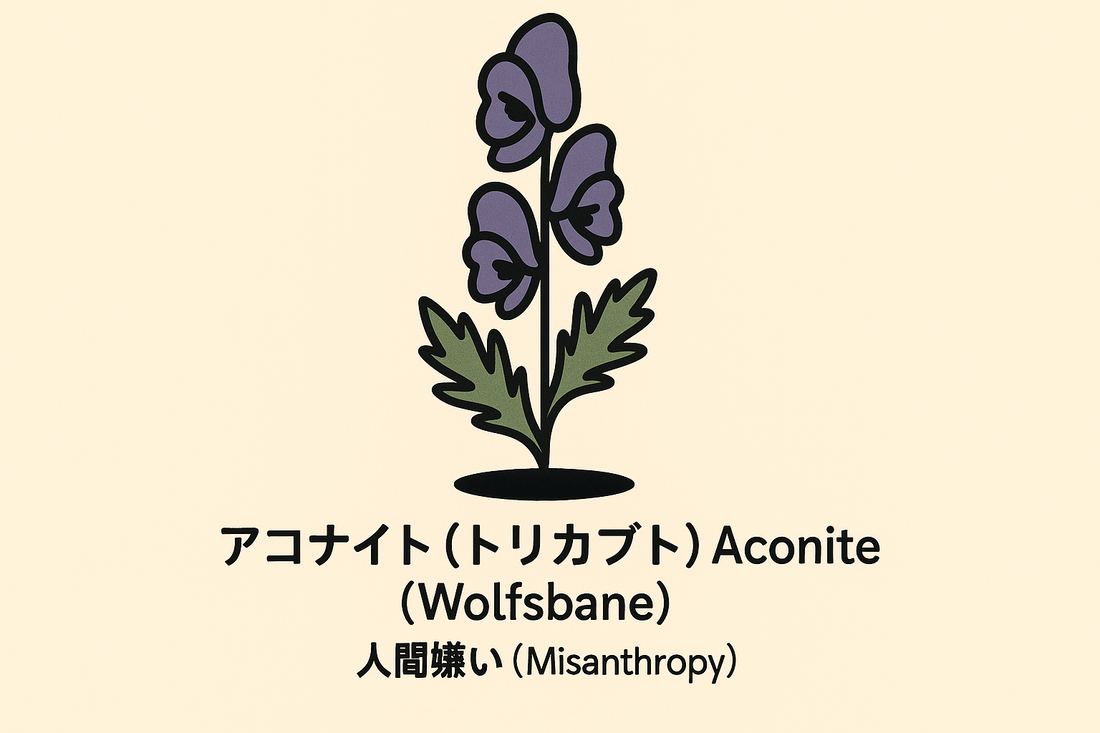 【アコナイト（トリカブト）】の花言葉は「人間嫌い」｜出典からたどる由来