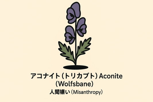 【アコナイト（トリカブト）】の花言葉は「人間嫌い」｜出典からたどる由来