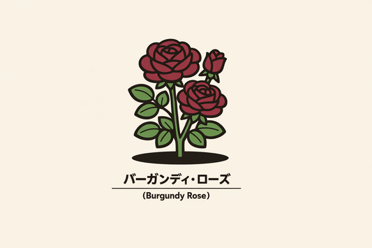 【バーガンディ・ローズ】の花言葉は「無自覚の美」｜意味と背景