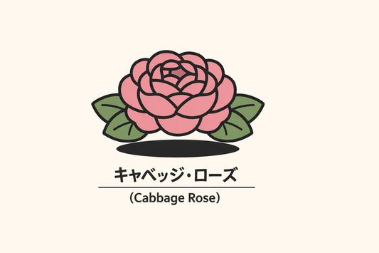 【キャベッジ・ローズ】の花言葉は「愛の使者」｜由来と文献の記録