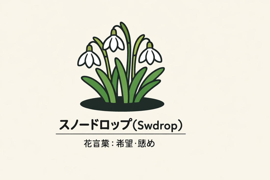 【スノードロップ】の花言葉は「希望」｜文献に残る象徴と意味
