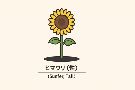 【ヒマワリ】の花言葉は「慢」｜背の高い花に記された意味の由来