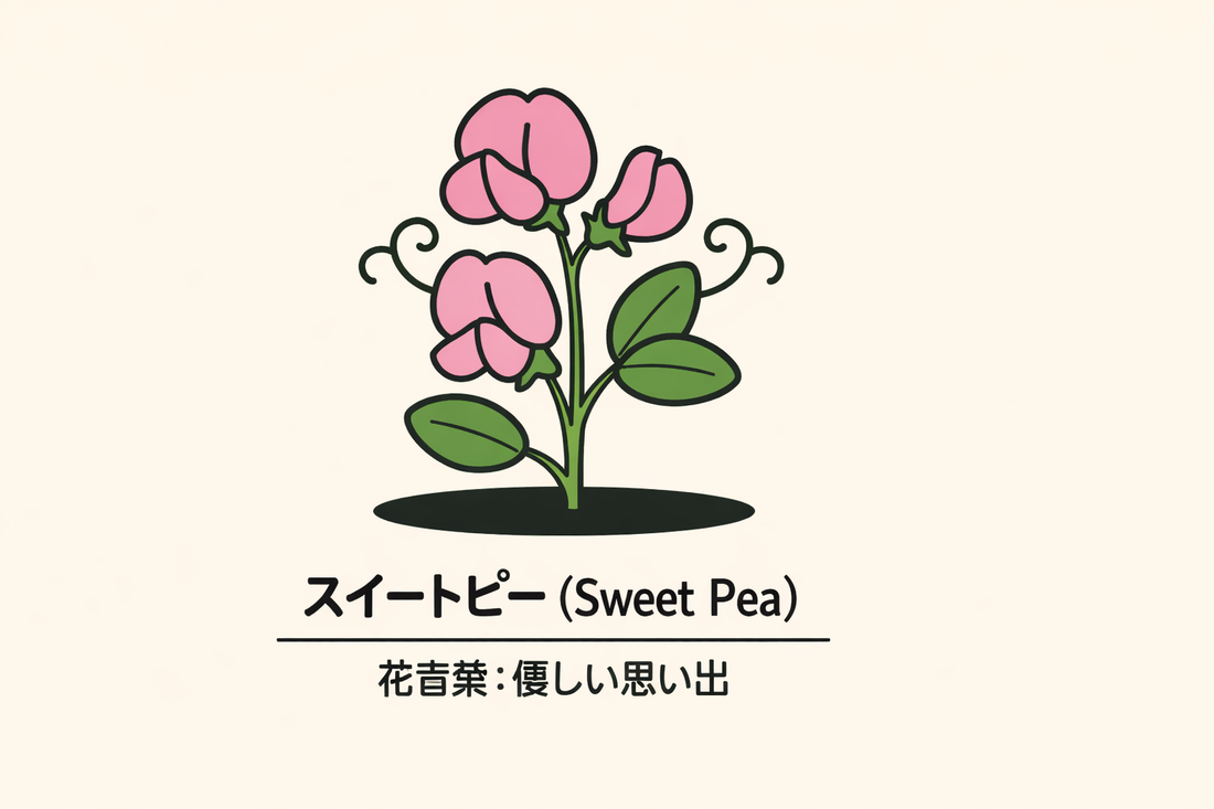 【スイートピー】の花言葉は「優美な楽しみ」｜1884年の記録