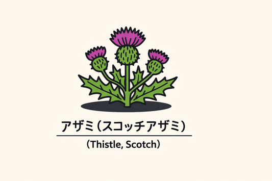 【アザミ】の花言葉は「報復」｜スコッチアザミの文献記録と背景